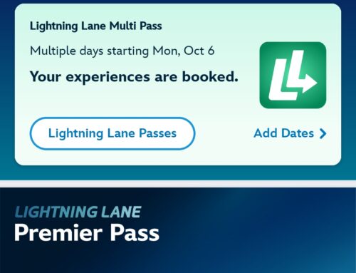 Disneyland – Lightning Lane
